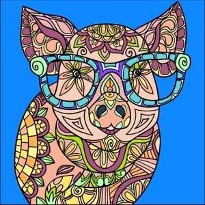 Meet your Posher, Tazzie